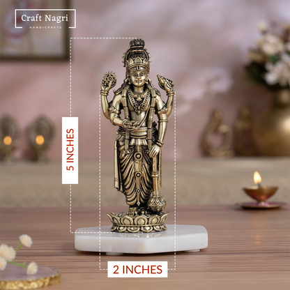 Brass Lord Vishnu Idol with Shanku Chakra (5 Inches)